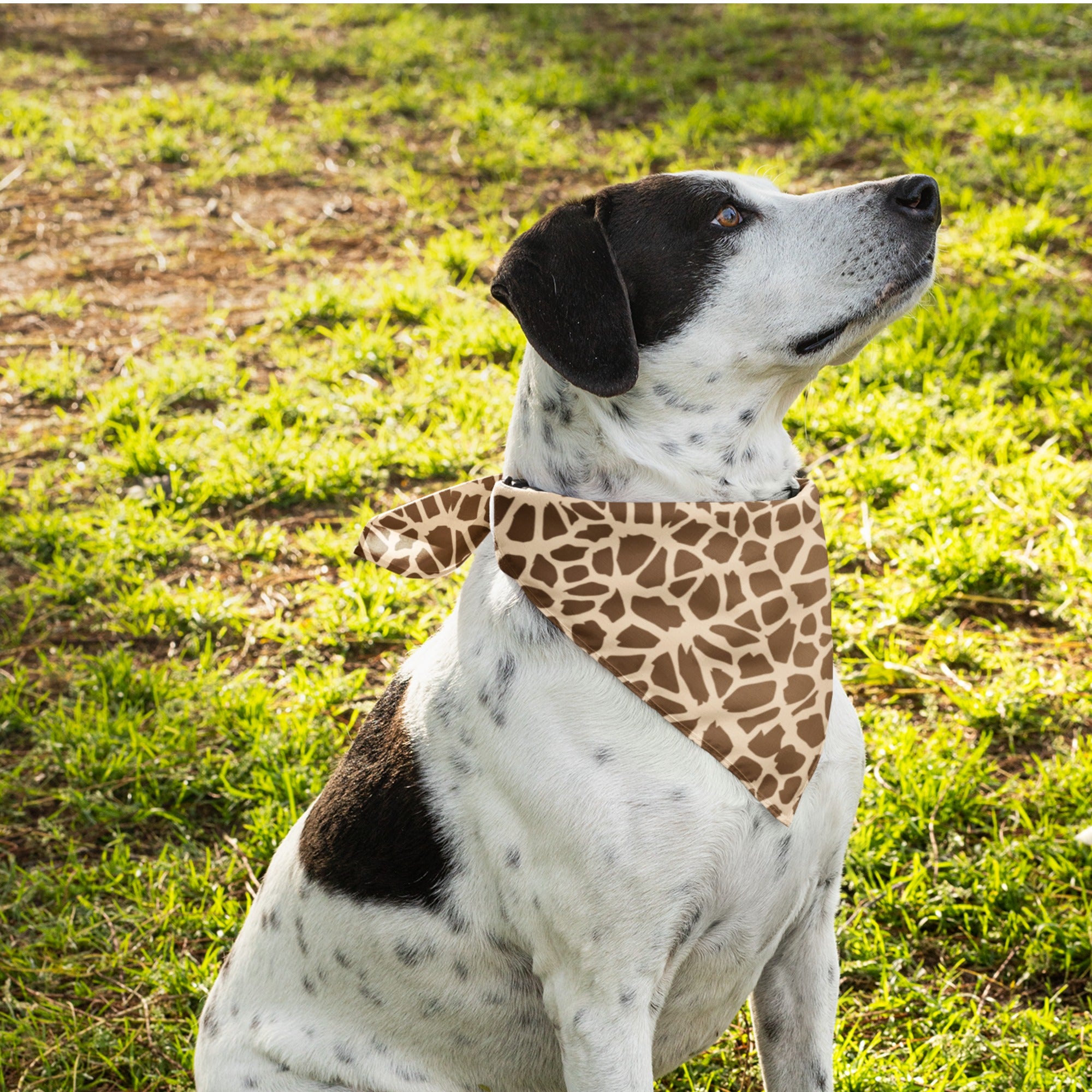 Leopard print dog store bandana