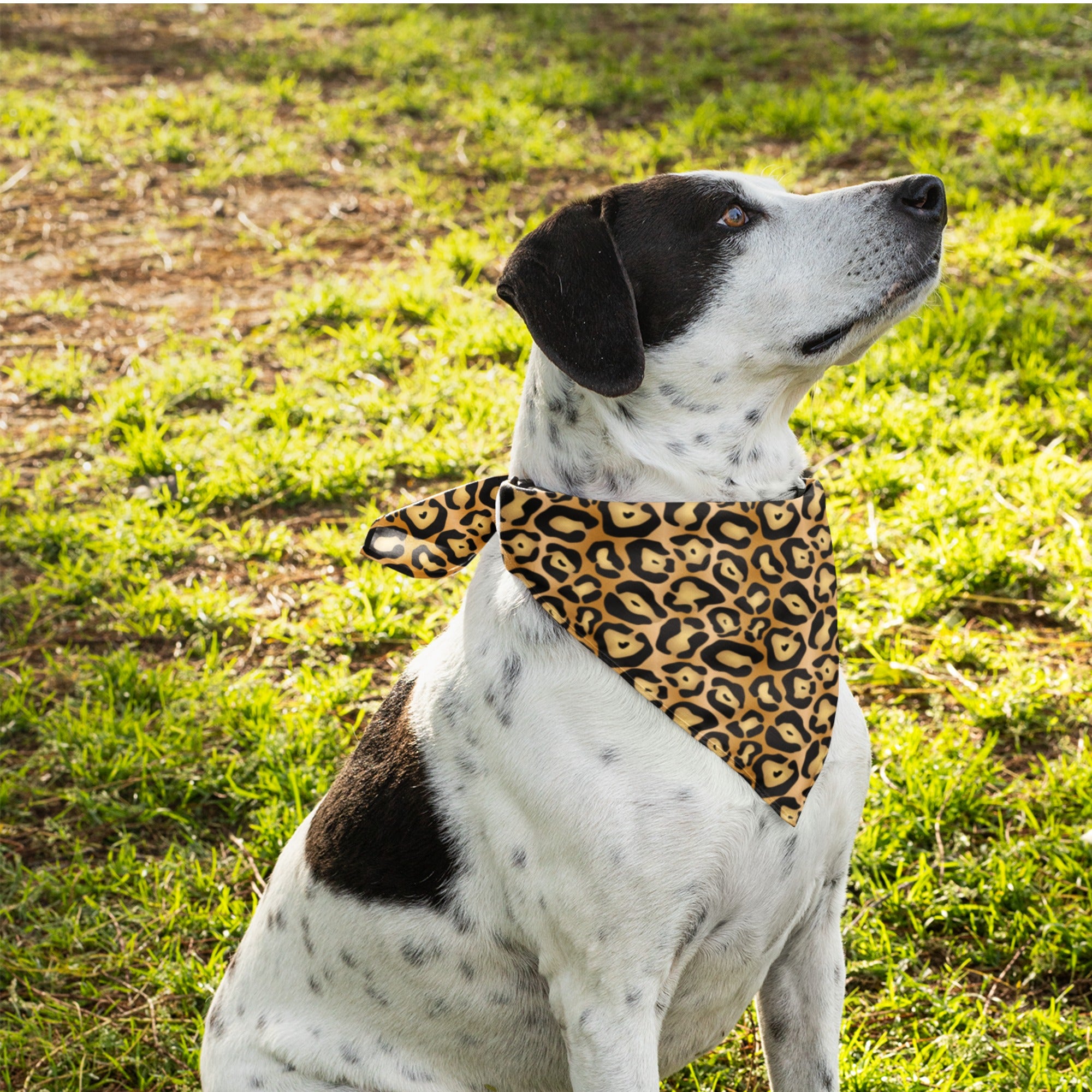 PreciousPawPrints Atlanta Braves Mens/Womens Bandana